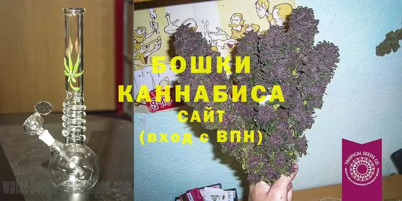 МАРИХУАНА White Widow  Кяхта 